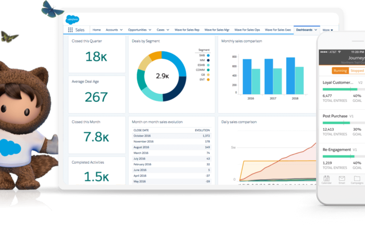  Salesforce en bref